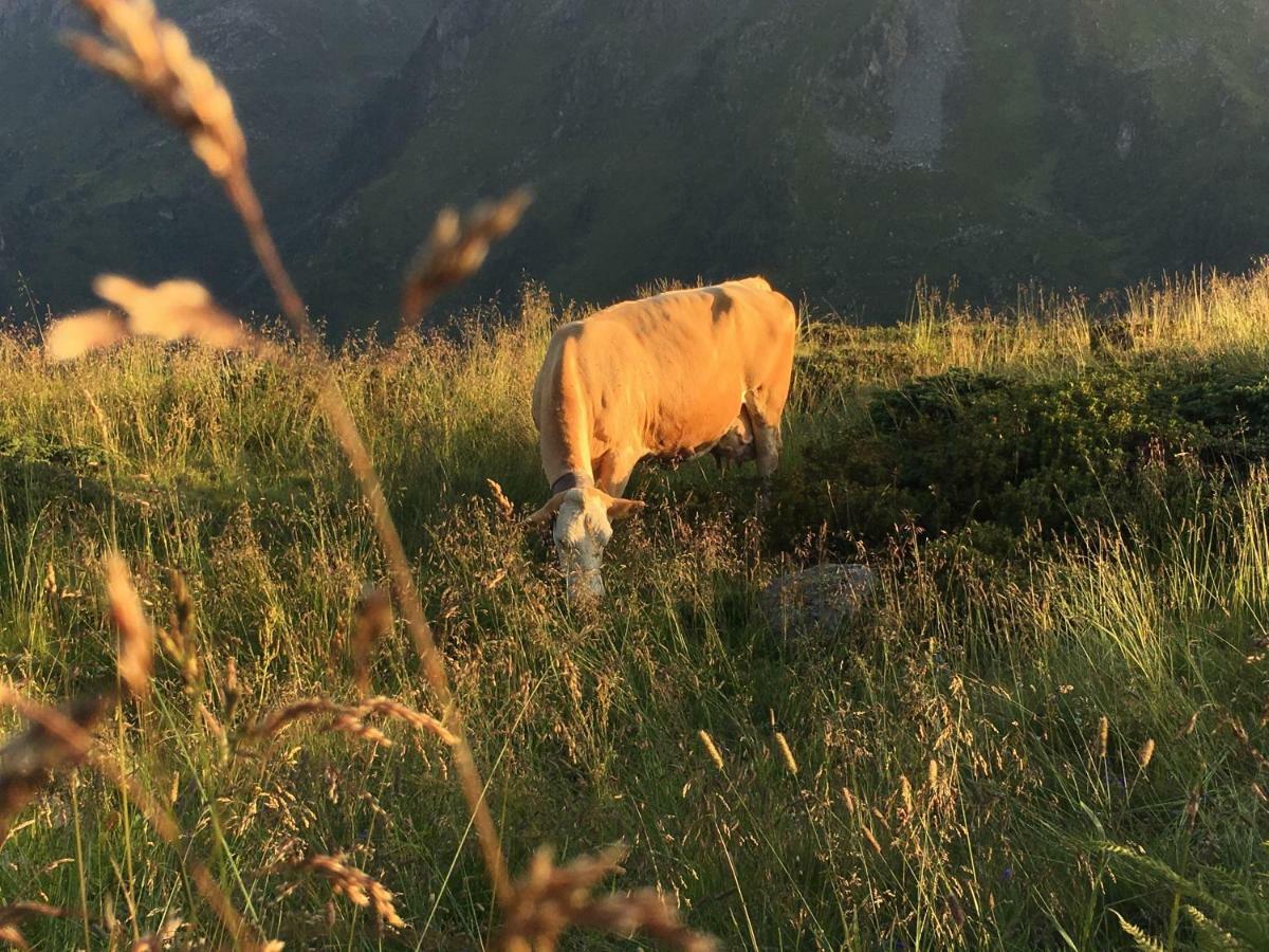 Appartamento Freihaushof Mayrhofen Esterno foto